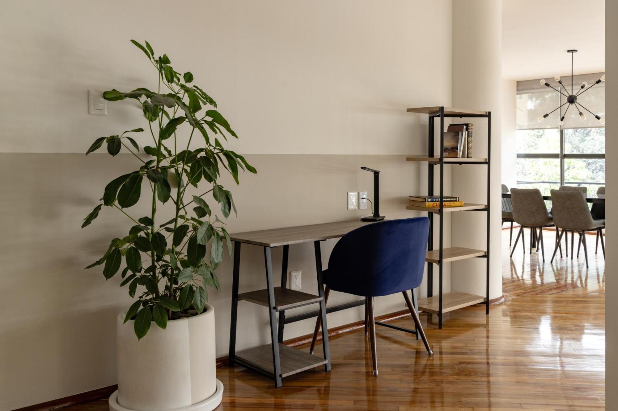 Lope 226, Polanco Apartment Мексико Сити Екстериор снимка